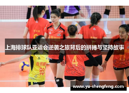 上海排球队亚运会逆袭之旅背后的拼搏与坚持故事
