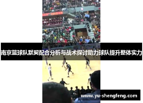 南京篮球队默契配合分析与战术探讨助力球队提升整体实力